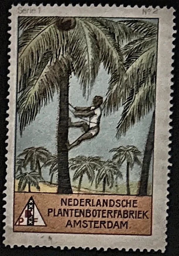 Nederlandsche Plantenboterfabriek – Kokospalmklimmer