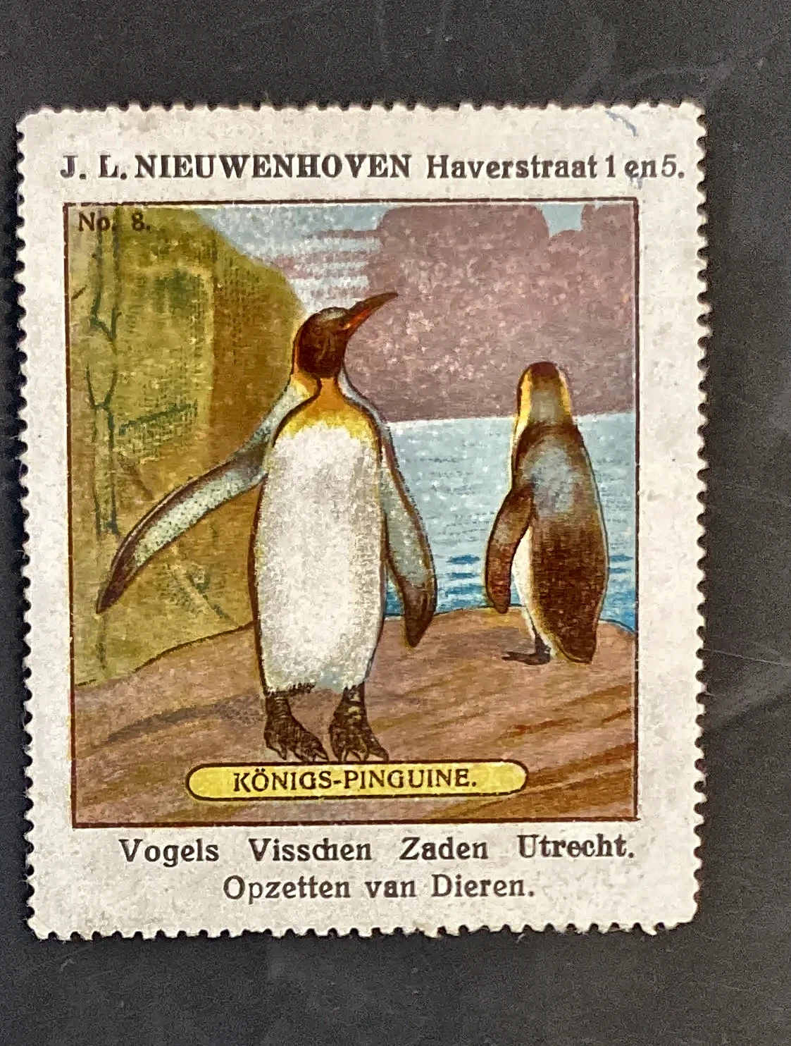 Reclamesluitzegel J.L. Nieuwenhoven Utrecht – Koningspinguïns