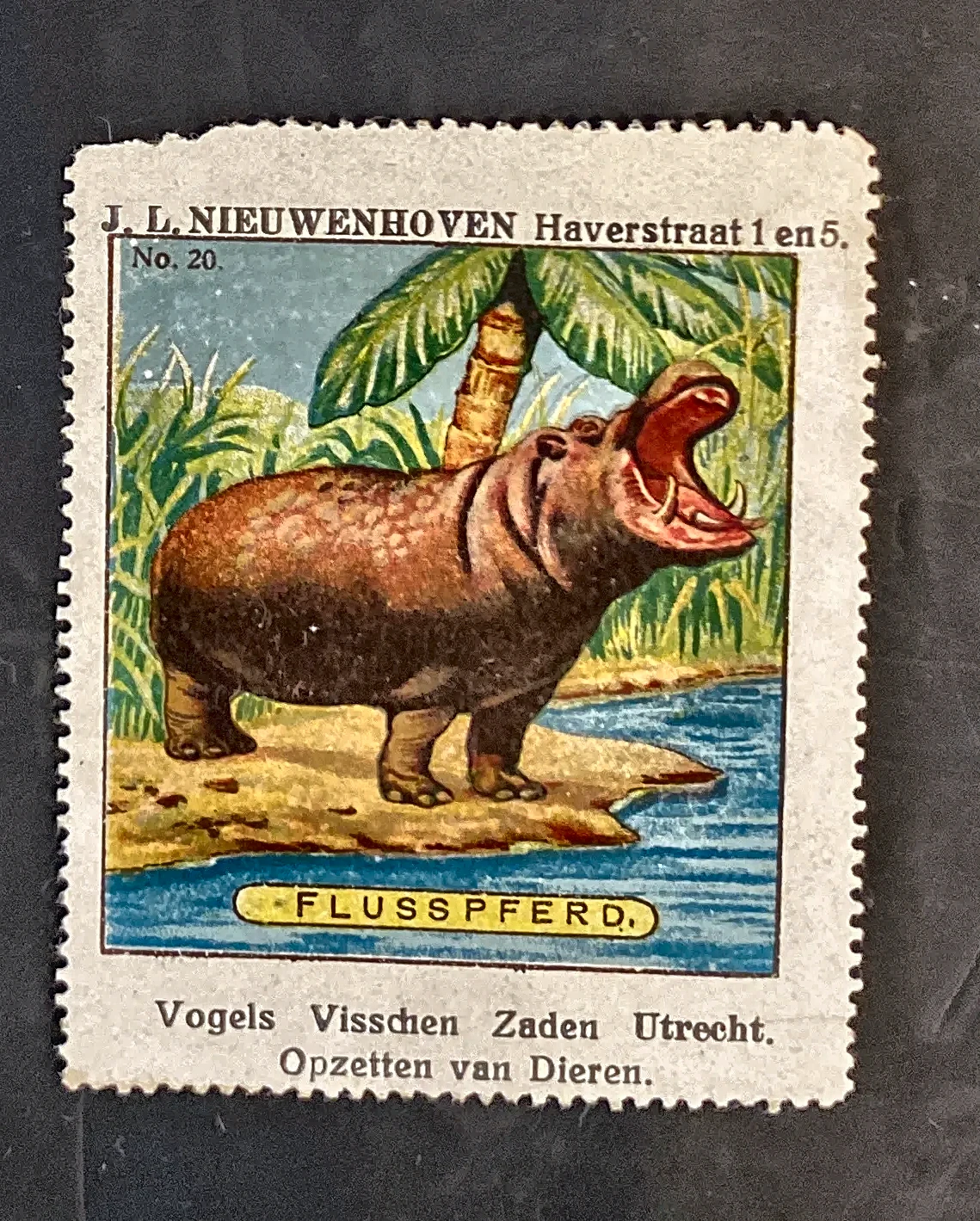 Nijlpaard – J.L. Nieuwenhoven, Haverstraat Utrecht