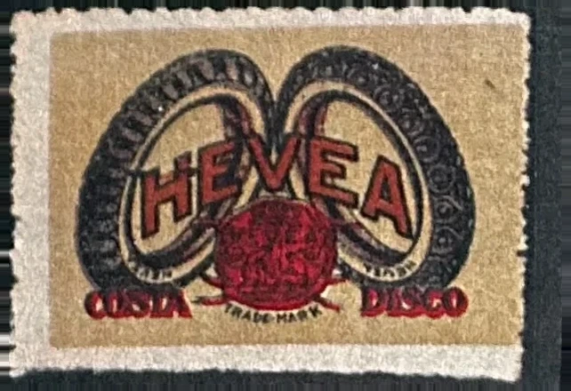 Hevea Costa Disco rubberbanden – sluitzegel