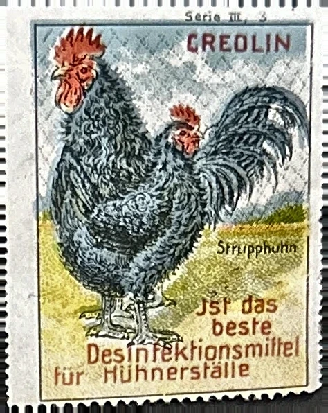 Creolin – Desinfectiemiddel voor kippenhokken