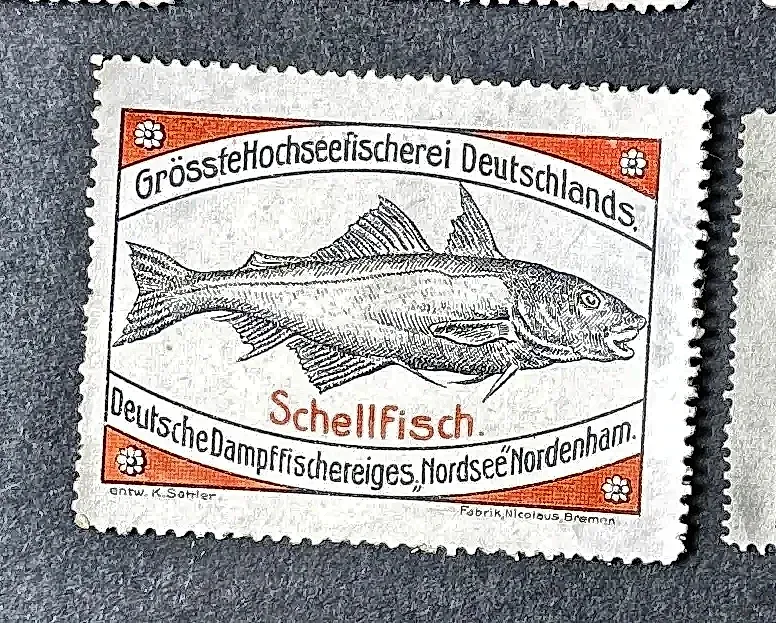 Schellfisch – Grösste Hochseefischerei Deutschlands, Nordenham